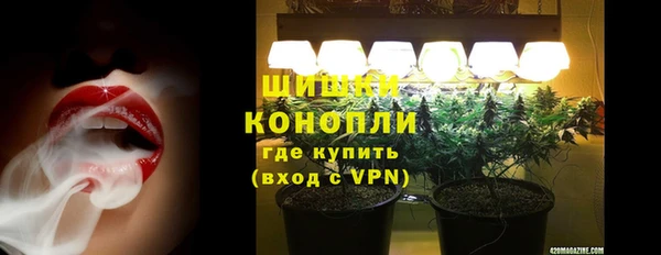 spice Вяземский