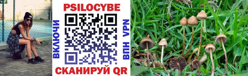 как найти закладки  Заринск  MEGA ТОР  Галлюциногенные грибы Magic Shrooms 